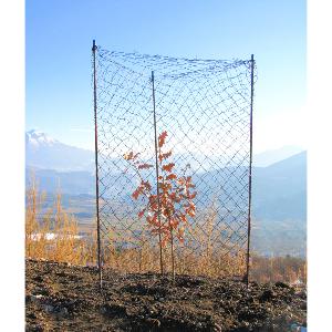 Protection des arbres : filet anti-liévres et chevreuils. Vendu au mètre linéaire