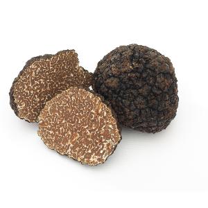 Truffes fraiches Bio Tuber Uncinatum 1er Choix