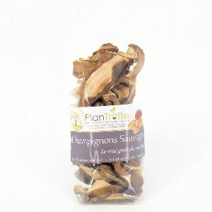 Cèpes sauvages séchés, sachet de 40g