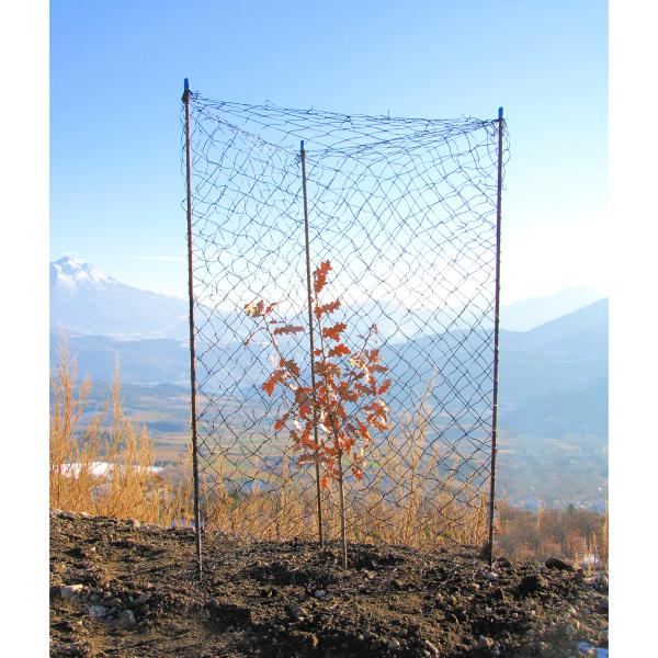 Protection des arbres : filet anti-liévres et chevreuils. Vendu au mètre  linéaire