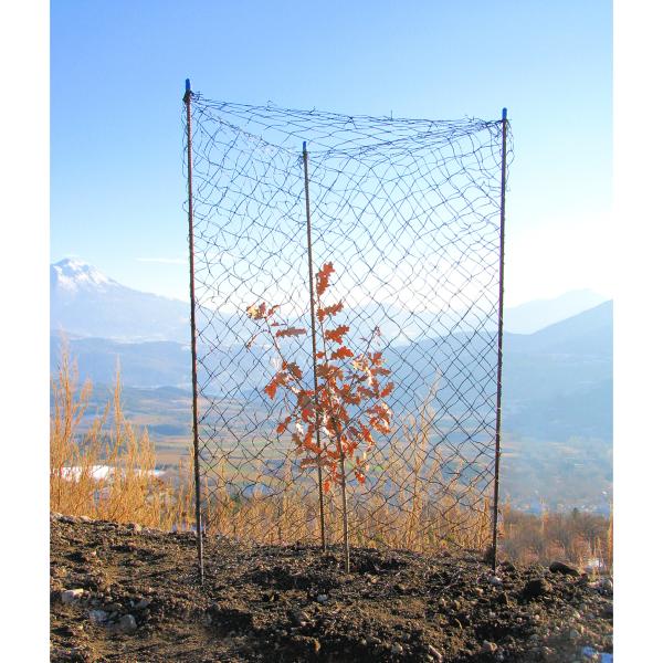 Protection des arbres : filet souple anti-liévres et chevreuils