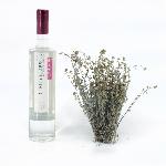 Liqueur de Génépi artisanale et cristalline - 50cl