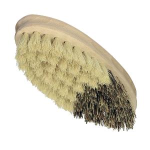 Brosse à truffes - Bois et fibres naturelles